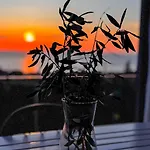 בית נופש House Philia With Panoramic Sea View In Mani Kotronion (West Mani)